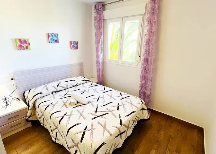 Ayora - Btb * Jávea